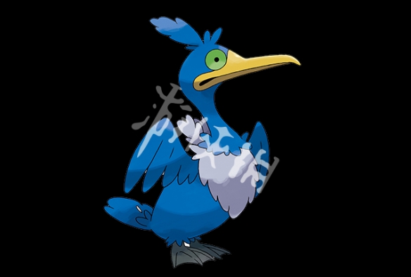 《宝可梦剑盾》古月鸟怎么样？新精灵古月鸟属性介绍 1