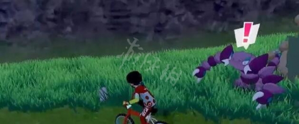 《宝可梦剑盾》多龙巴鲁托在哪抓?多龙巴鲁托捕捉方法介绍 5