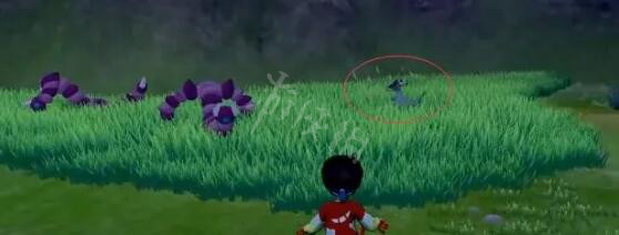 《宝可梦剑盾》多龙巴鲁托在哪抓?多龙巴鲁托捕捉方法介绍 6