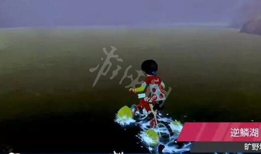 《宝可梦剑盾》多龙巴鲁托在哪抓?多龙巴鲁托捕捉方法介绍 3