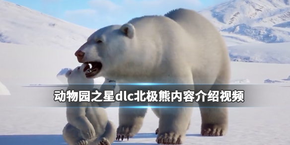 《动物园之星》dlc有什么？dlc北极熊内容介绍视频 1