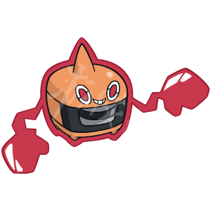 《宝可梦剑盾》晴天队怎么打 双打晴天队配置一览 7