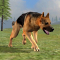 动物生存模拟器之狗v1.0