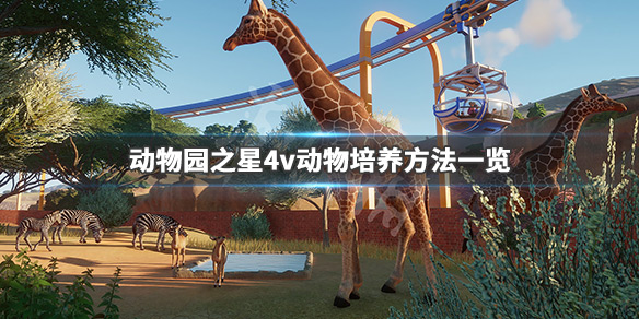 《动物园之星》4v动物怎么培养 4v动物培养方法一览 1