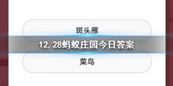 12月28日蚂蚁庄园今日答案 哪种鸟类的飞行高度可以逾越珠穆朗玛峰 1