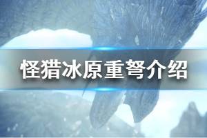 《怪物猎人世界冰原》重弩新添加了什么 重弩添加要素介绍