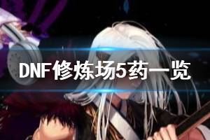<span class=＂big＂>《DNF》修练场5药是什么 修练场5药一览</span>