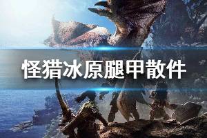 《怪物猎人世界冰原》腿甲装备有哪些 腿甲散件配装推荐