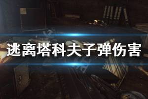 《逃离塔科夫》子弹数据分析 子弹伤害表