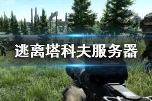 《逃离塔科夫》服务器怎么更换？403问题及更换服务器方法介绍