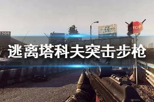 《逃离塔科夫》全突击步枪弹药型号一览 突击步枪图鉴介绍