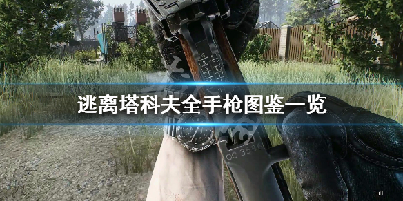 《逃离塔科夫》全手枪图鉴一览 全手枪数据介绍 1