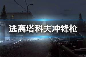 《逃离塔科夫》全冲锋枪属性详解 全冲锋枪图鉴一览