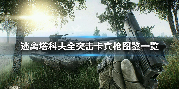 《逃离塔科夫》全突击卡宾枪图鉴一览 突击卡宾枪弹药型号介绍 1