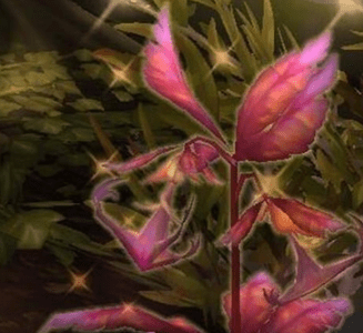 魔兽世界8.0锚草采集点在哪里 魔兽世界8.0锚草采集点位置一览 2