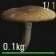 人渣SCUM怎么区分毒蘑菇 人渣SCUM可食用蘑菇以及毒蘑菇一览 2