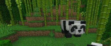 我的世界熊猫怎么得 我的世界熊猫在哪 1