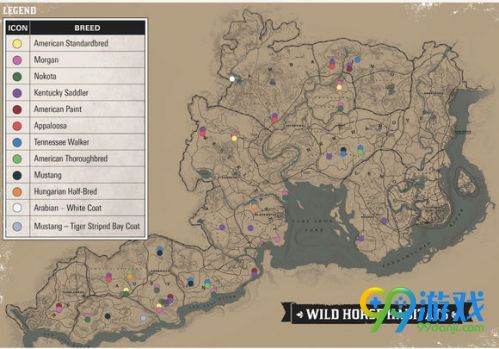 荒野大镖客2虎纹野马在哪里 荒野大镖客2虎纹野马属性怎么样 1
