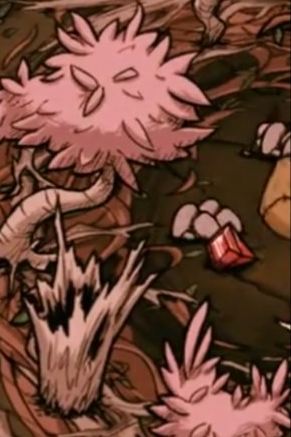 饥荒哈姆雷特红宝石怎么得 饥荒哈姆雷特红宝石在哪掉落 1