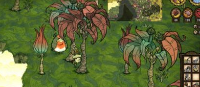 饥荒哈姆雷特怎么获得雨林木种子 饥荒哈姆雷特雨林木种子获取途径分享 1