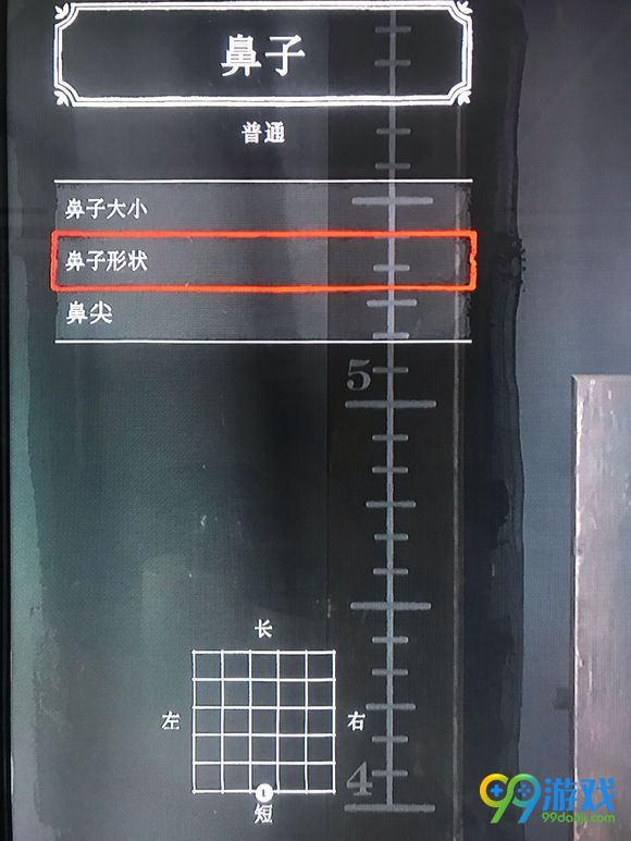 荒野大镖客2怎样捏脸 捏脸数据分享 15