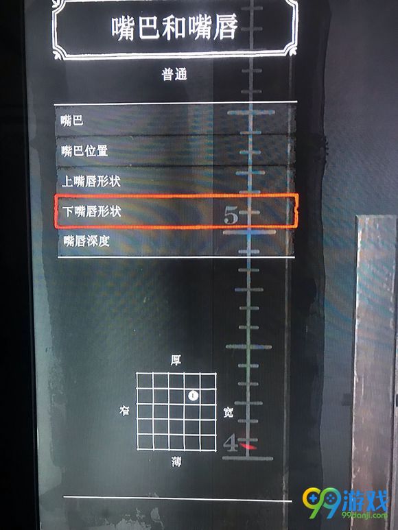 荒野大镖客2怎样捏脸 捏脸数据分享 21