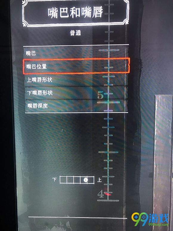 荒野大镖客2怎样捏脸 捏脸数据分享 19