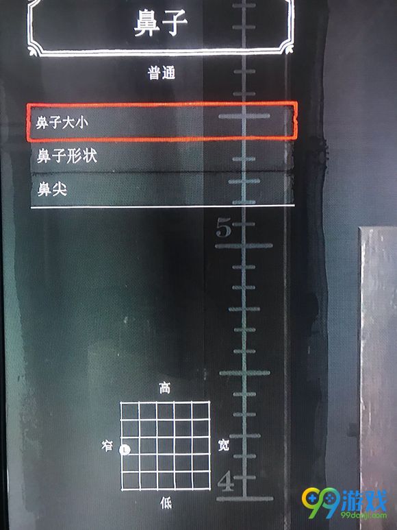 荒野大镖客2怎样捏脸 捏脸数据分享 14