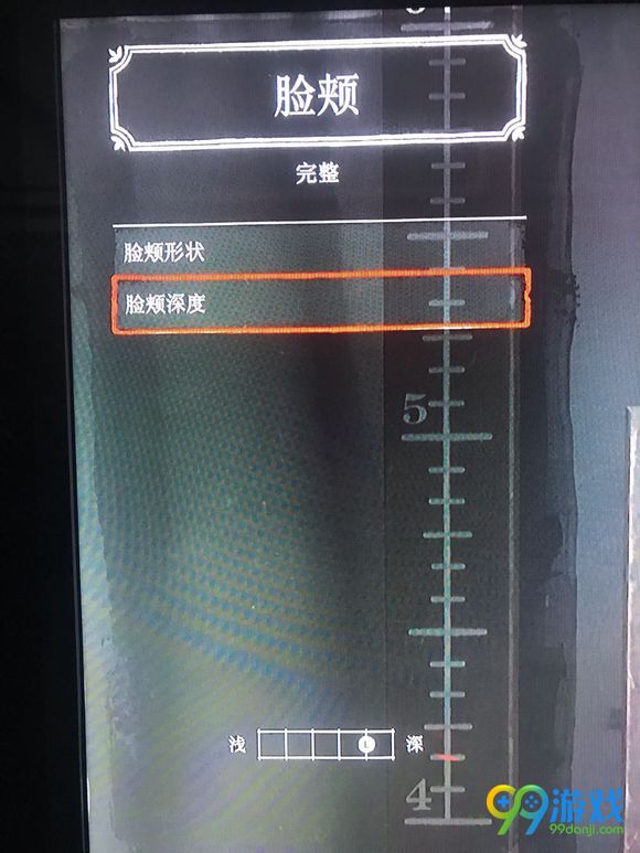 荒野大镖客2怎样捏脸 捏脸数据分享 28