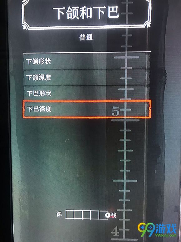 荒野大镖客2怎样捏脸 捏脸数据分享 26