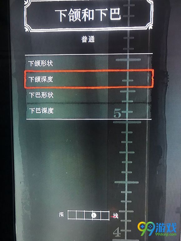 荒野大镖客2怎样捏脸 捏脸数据分享 24