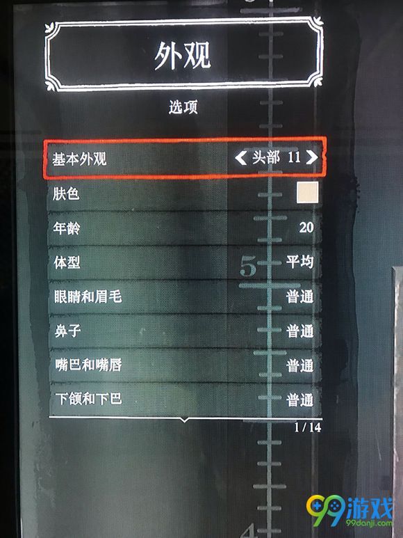 荒野大镖客2怎样捏脸 捏脸数据分享 4