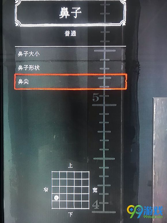 荒野大镖客2怎样捏脸 捏脸数据分享 16