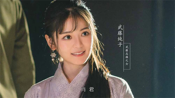 隐形守护者武藤纯子剧情解析 隐形守护者武藤纯子人物介绍 1