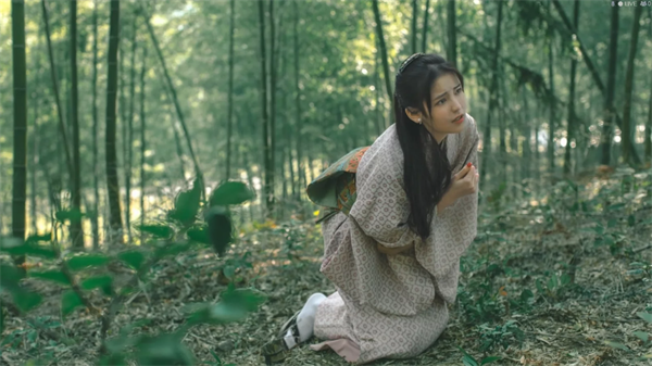 隐形守护者武藤纯子剧情解析 隐形守护者武藤纯子人物介绍 2