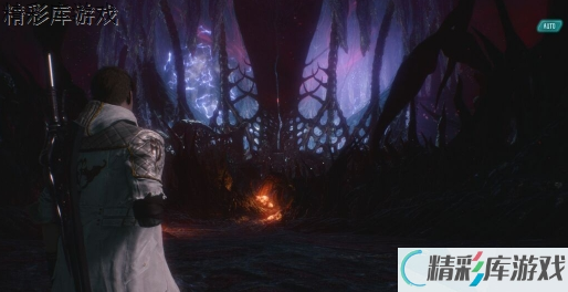 鬼泣5打不开游戏解决方法汇总 鬼泣5游戏BUG解决方法汇总 8