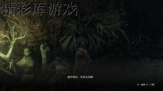 只狼水生的凛支线任务怎么做 只狼影逝二度水生的凛支线任务完成攻略 15