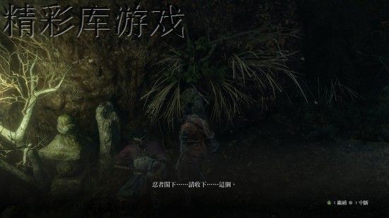 只狼水生的凛支线任务怎么做 只狼影逝二度水生的凛支线任务完成攻略 16