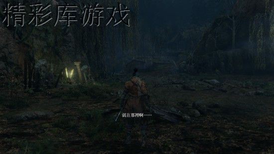 只狼水生的凛支线任务怎么做 只狼影逝二度水生的凛支线任务完成攻略 8