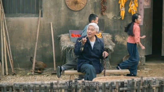 隐形守护者全章节失败结局汇总 隐形守护者全章节坏结局一览 226