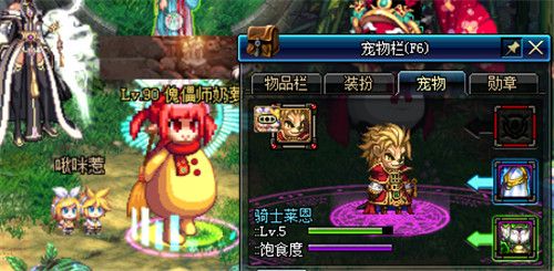 DNF宠物幻化栏扩展券怎么获取 DNF宠物扩展券有什么用 2