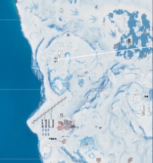 堡垒之夜29号芯片位置在哪 堡垒之夜芯片29在爆裂枪手屋中的树下找到 2