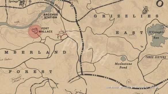 荒野大镖客2传奇动物有哪些?荒野大镖客2传奇动物位置一览 6