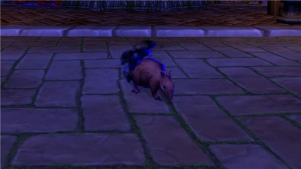 魔兽世界8.3测试服新增宠物预览 魔兽世界8.3测试服新增宠物介绍 45