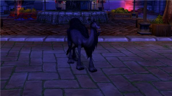 魔兽世界8.3测试服新增宠物预览 魔兽世界8.3测试服新增宠物介绍 27