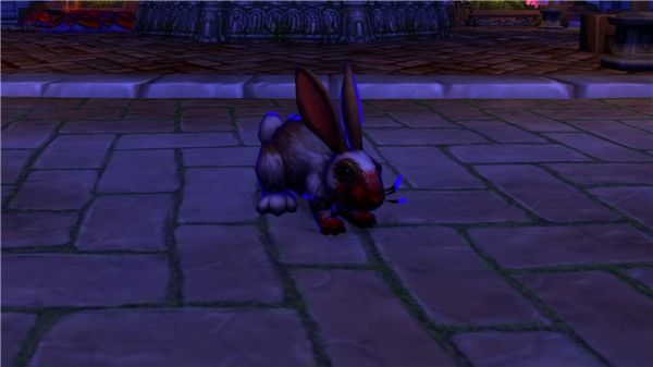 魔兽世界8.3测试服新增宠物预览 魔兽世界8.3测试服新增宠物介绍 42