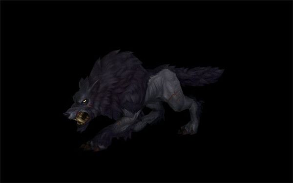 魔兽世界8.3猎人新增宠物汇总 魔兽世界8.3猎人新增宠物获得方法详情 43