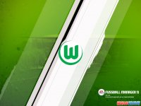 ��FIFA������11��1024x768��ֽ