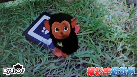 PSP游戏《爱宝贝》(索尼猴)美版下载_精彩库