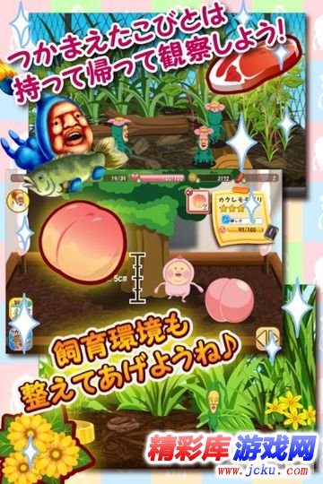 观察屁桃安卓版 3